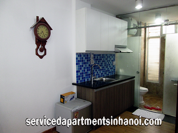 Cheap Studio Type Apartment For Rent In Hoan Kiem 2