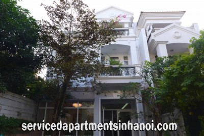 Fully Furnished Five Bedroom Villa for rent in Block C, Ciputra, Walking distance to UNIS