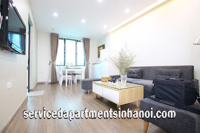 Newly Renovated One Bedroom Apartment Rental in Hoang Quoc Viet street, Cau Giay