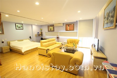 Newly Renovated Serviced Apartment Rental in Hai Ba Trung district, Hanoi